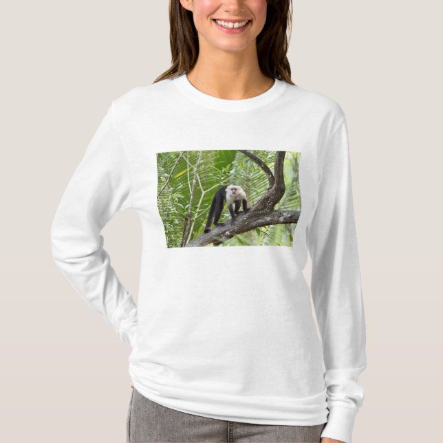 Camiseta Macaco na selva (Frente)