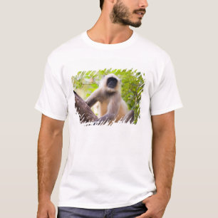 Camiseta Macaco na selva do Parque Nacional de Ranthambore