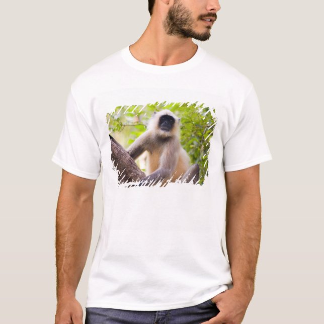 Camiseta Macaco na selva do Parque Nacional de Ranthambore (Frente)