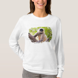 Camiseta Macaco na selva do Parque Nacional de Ranthambore