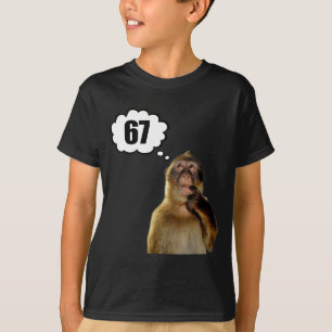 Camiseta Macaco Pensativo Engraçado Meme Seis Sete 6 7 Meme