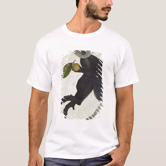 Camiseta Macaco preto (Frente)