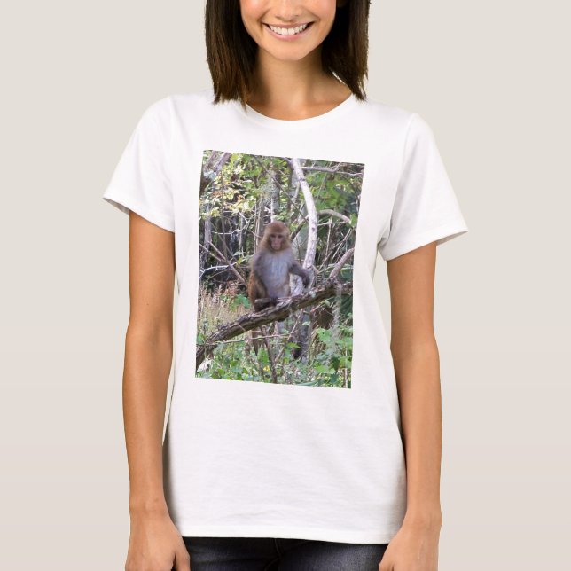 Camiseta macaco rhesus (Frente)