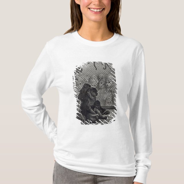 Camiseta Macacos de London (Frente)
