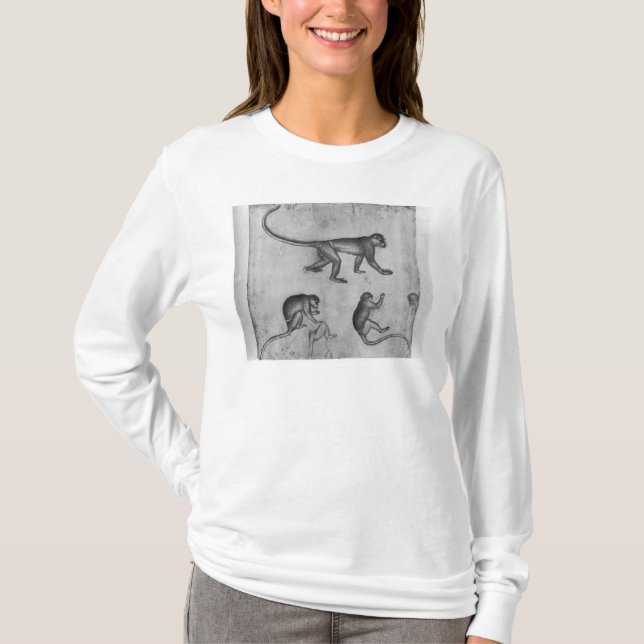 Camiseta Macacos, do álbum de Vallardi (Frente)