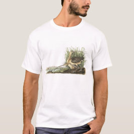 Camiseta maçarico real Longo-faturado por Audubon
