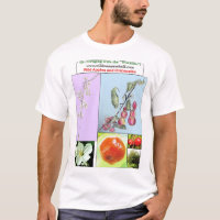 Maçãs selvagens e Crabapples