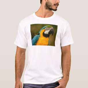 Camiseta macaw