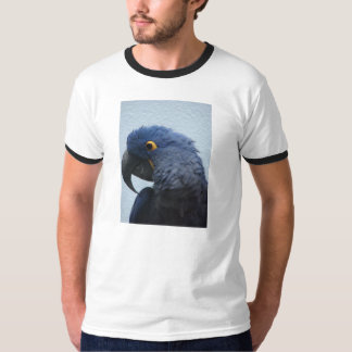 Camiseta Macaw azul do hyacyinth