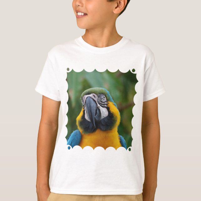 Camiseta Macaw azul e Dourado doce (Frente)