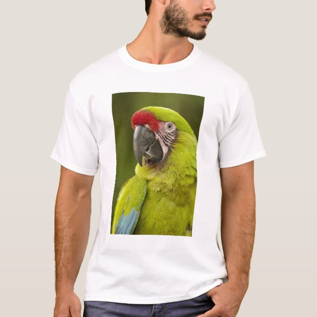 Camiseta Macaw Militar (Frente)