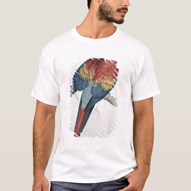 Camiseta Macaw vermelho e amarelo (Frente)