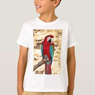 Camiseta Macaw vermelho e verde