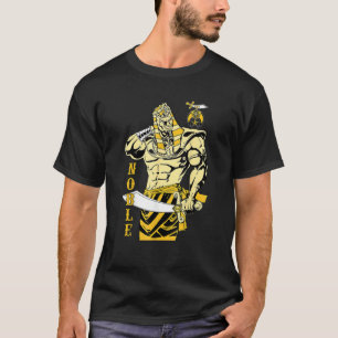 Camiseta Maçom Nobre Faraó Shriner Ph Shriner Aeaonms Gordo