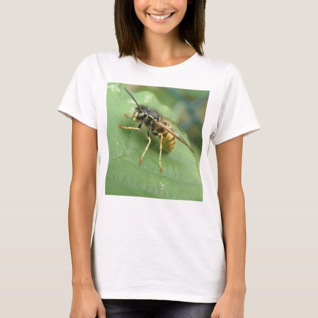 Camiseta Macro-Damas de Hoverfly T Shirt (Frente)