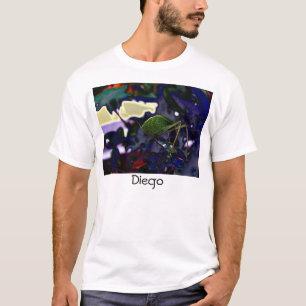 Camiseta maglietta Diego