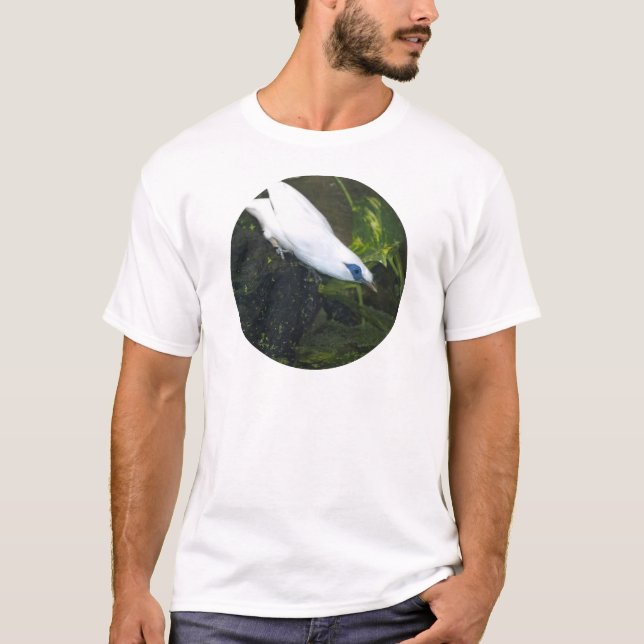 Camiseta Mainá-de-bali (Frente)