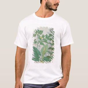 Camiseta Maior Celandine ou papoila