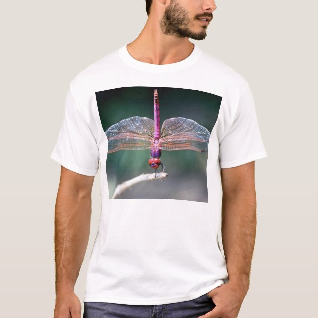 Camiseta Majestade roxa (Frente)