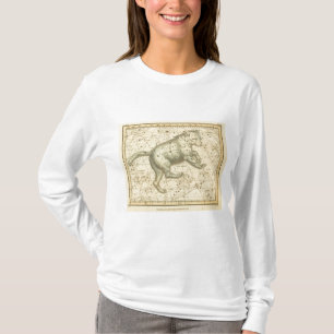 Camiseta Major de Ursa