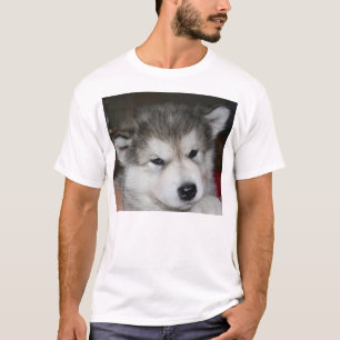 Camiseta mal cachorro 2.png