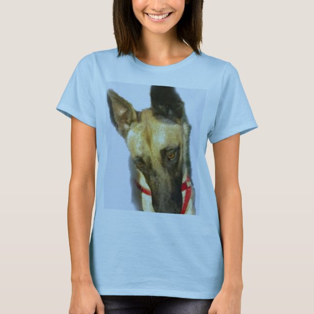 Camiseta Malanois belgas (Frente)