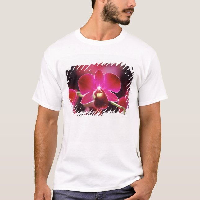 Camiseta Malásia, Orquídea (Frente)