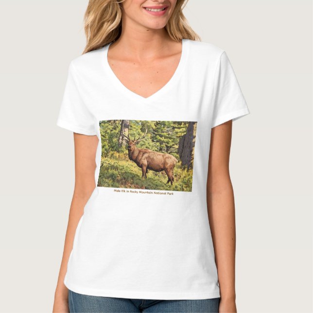 Camiseta Male Elk in Rocky Mountain National Park Colorado (Frente)