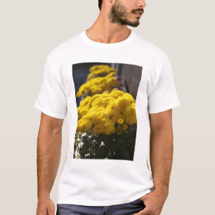 Camiseta Malmequeres amarelos banham-se em luz solar