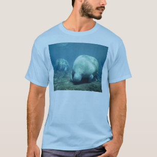 Camiseta Manatê