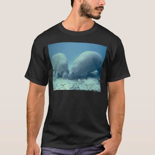 Camiseta Manatee (Frente)