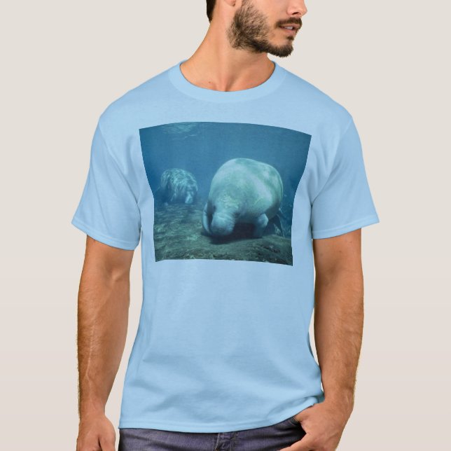 Camiseta Manatee (Frente)
