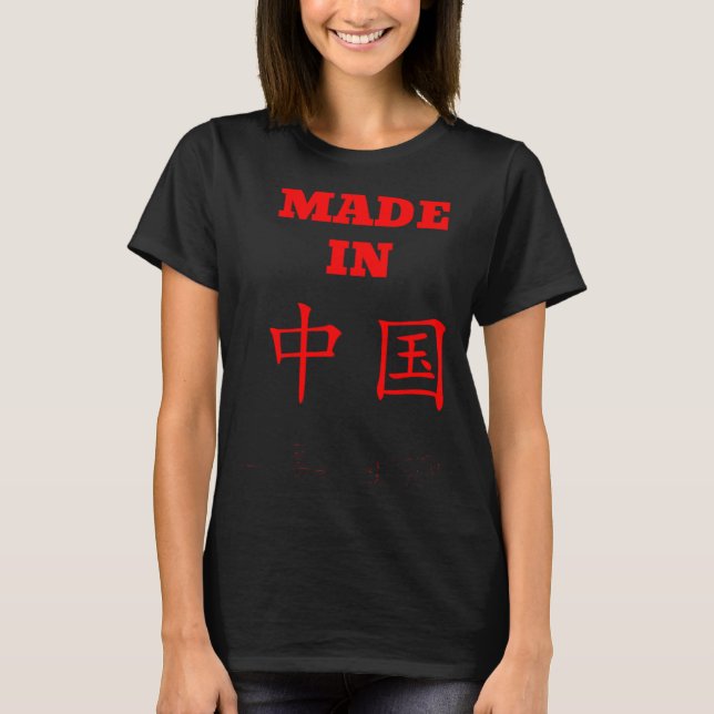 Camiseta Mandarin Chinese Character English Made in China (Frente)