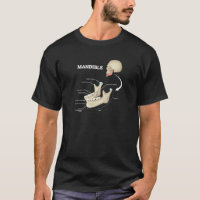 Mandible da Anatomia do Osso Humano