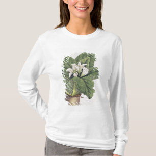 Camiseta Mandragora da atropa