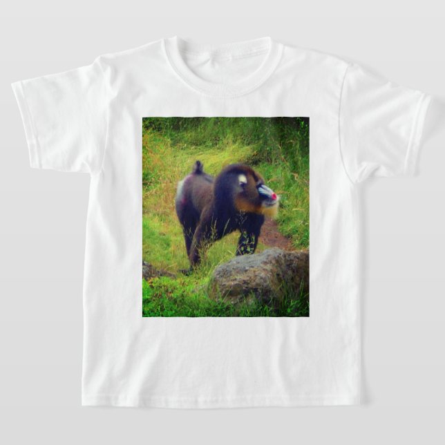 Camiseta Mandrill #2 T-Shirt (Postura )