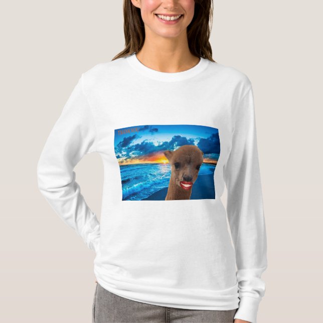 Camiseta manga comprida, mulheres de teia básica (Frente)