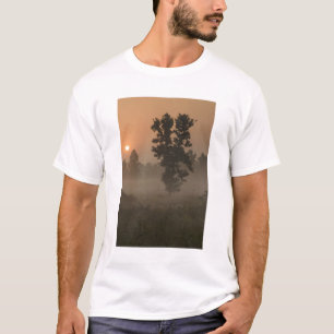 Camiseta Manhã cedo, sol nascente e nevoeiro no chão