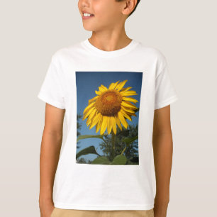 Camiseta Manhã Girassol