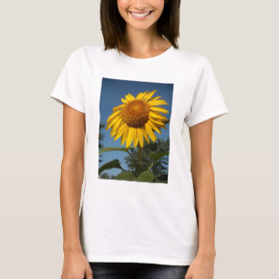 Camiseta Manhã Girassol