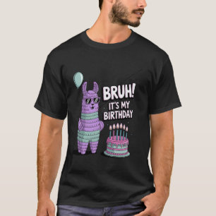 Camiseta Mano É Meu Aniversário Llama Festa Garotos Pinata