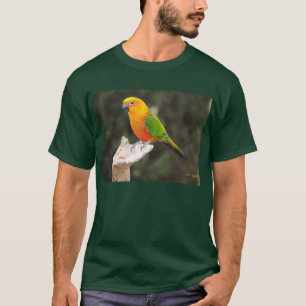 Camiseta Manteigas mim
