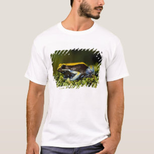 Camiseta Mantela-de-orelha-preta, Mantella expectata,