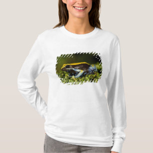 Camiseta Mantela-de-orelha-preta, Mantella expectata,
