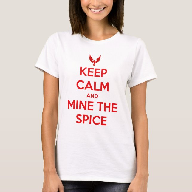 Camiseta Mantenha a calma (Frente)