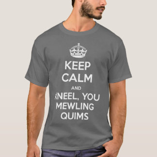 Camiseta MANTENHA A CALMA e ajoelhe-se