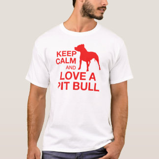 Camiseta Mantenha a calma e ame um poço horizontal -