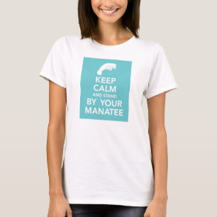Camiseta Mantenha a calma e esteja por seu t-shirt do