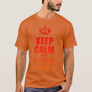 Camiseta Mantenha Calma Aniversário Oficial 13 Engraçado
