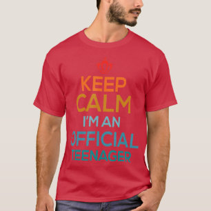 Camiseta Mantenha Calma Aniversário Oficial 13 Engraçado